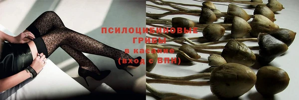 эйфоретик Арсеньев