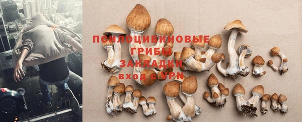дмт Алексин